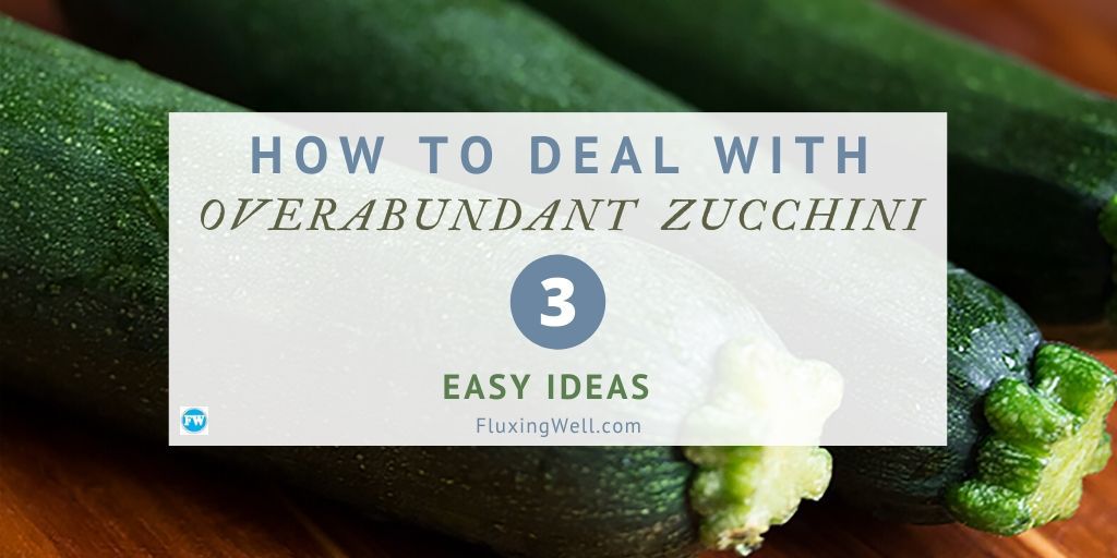 How to deal with overabundant zucchini 3 easy ideas featured image