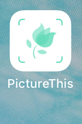 picture this app