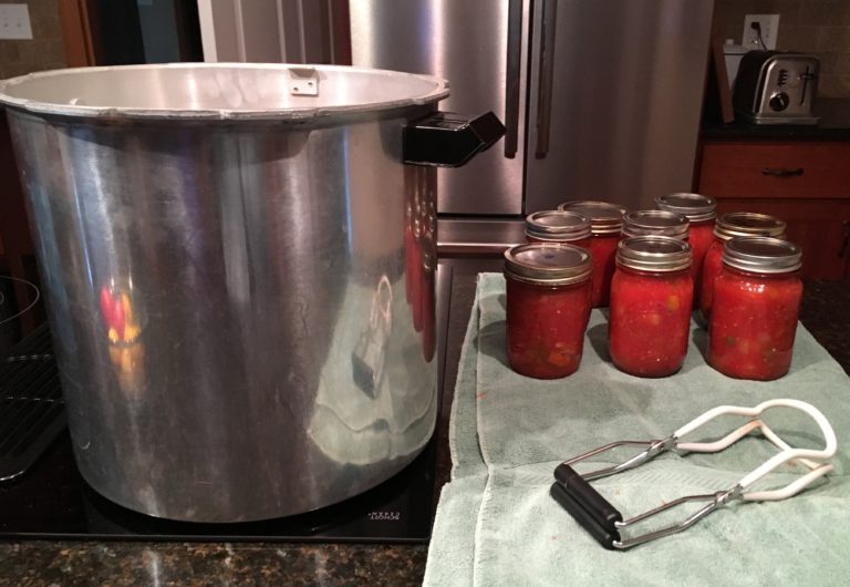 Easy Canned Salsa Recipe with Fresh Tomatoes - Fluxing Well