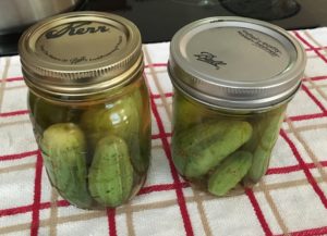 completed quick dill pickles
