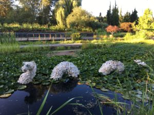 Oregon Garden Resort Water Garden