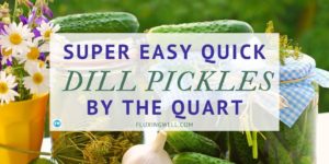 Super Easy quick Dill Pickles featured image
