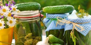 Super Easy Quick Dill Pickles by the Quart Image only