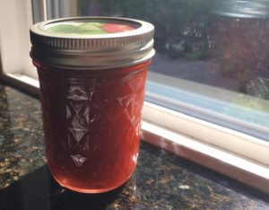 Rhubarb jam recipe in sunlight