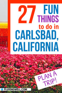 Fun things to do in Carlsbad California Pinterest