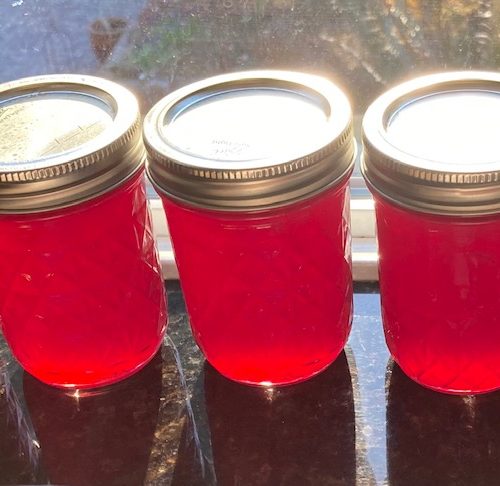 Americana Mason Jar Blender Red