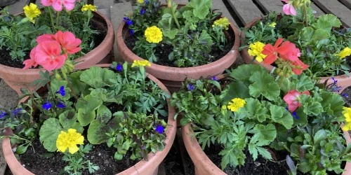 flower container ideas five pots filled featured image