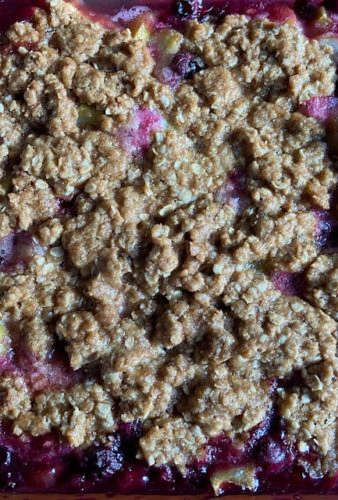 blueberry rhubarb crisp recipe finished