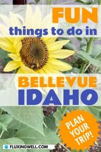 fun things to do in Bellevue, Idaho Pinterest image with sunflower
