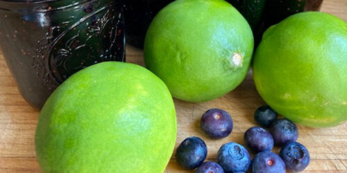 how to make easy blueberry lime jam featured image
