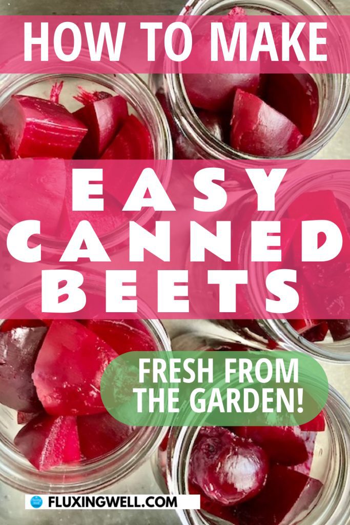 Canned Beets Recipe Easy and Not Pickled Fluxing Well