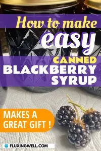 canned blackberry syrup Pinterest image