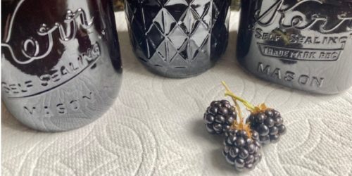 canned blackberry syrup featured image
