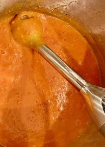 tomato butternut squash soup immersion blender