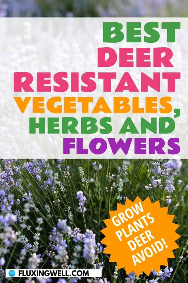 best deer resistant vegetables, herbs and flowers Pinterest image