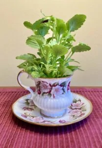 teacup and saucer with pansy for tea party decor