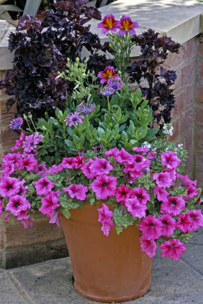 Flower Container Ideas for the Artistically Challenged Fluxing Well