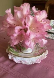 tea party decor rhododendron bloom in a teacup