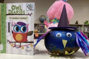 book character pumpkins ideas owl diaries