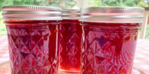 How To Make Seedless Raspberry Jam Fluxing Well