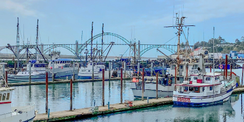things to do in newport oregon Newport Bay