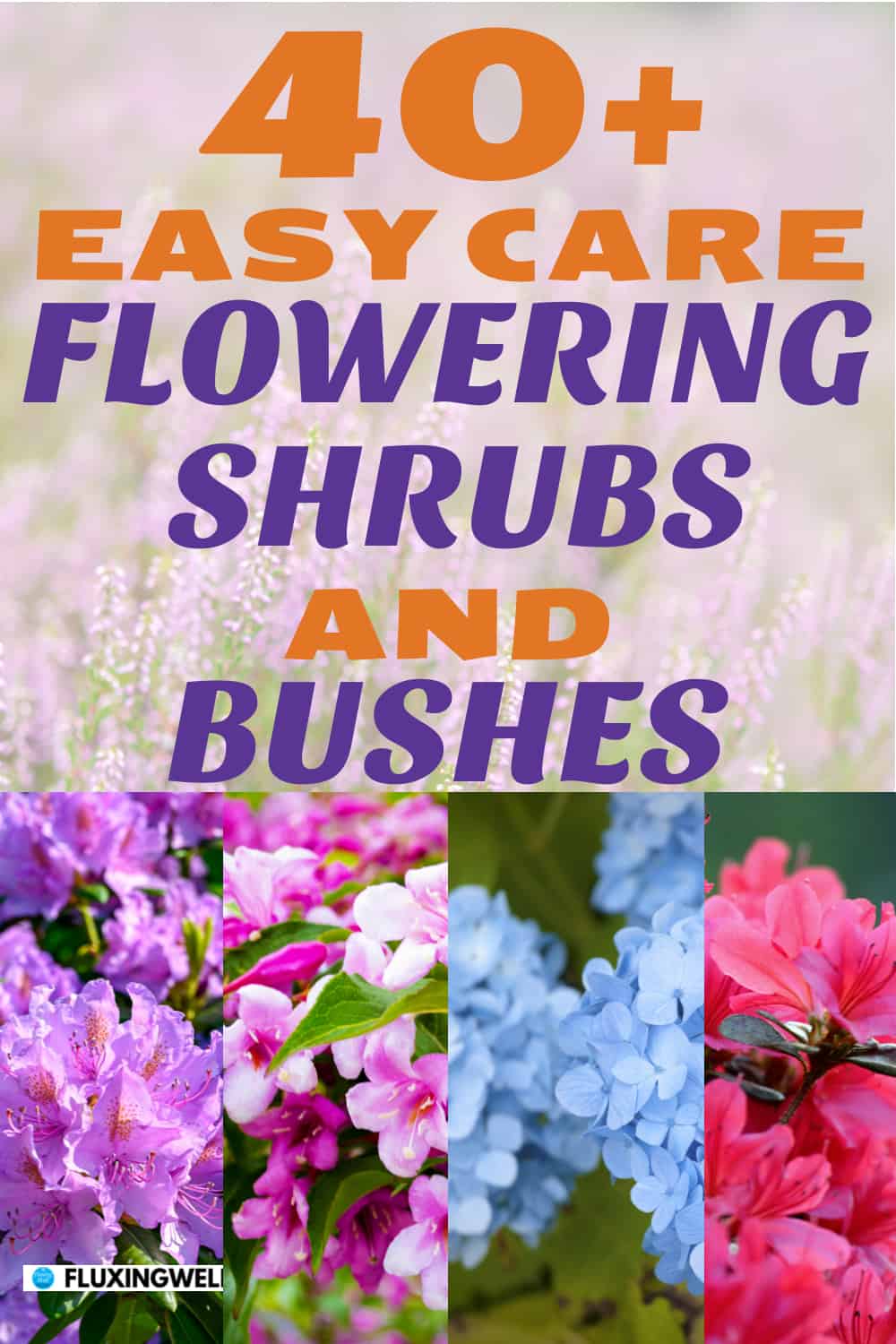 40 easy care low maintenance flowering shrubs and bushes