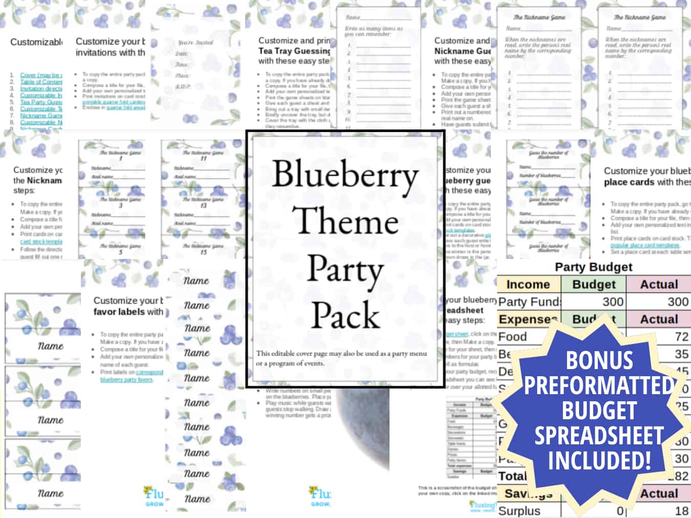 Blueberry Theme Party Pack Bundle all sheets