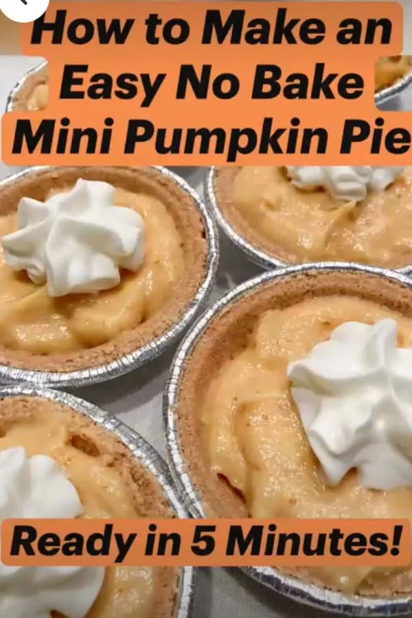 how to make easy no-bake mini pumpkin pies video link