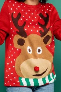 reindeer party ideas reindeer sweater