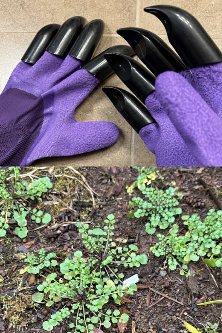 creative garden gifts clawed garde gloves for pulling weeds