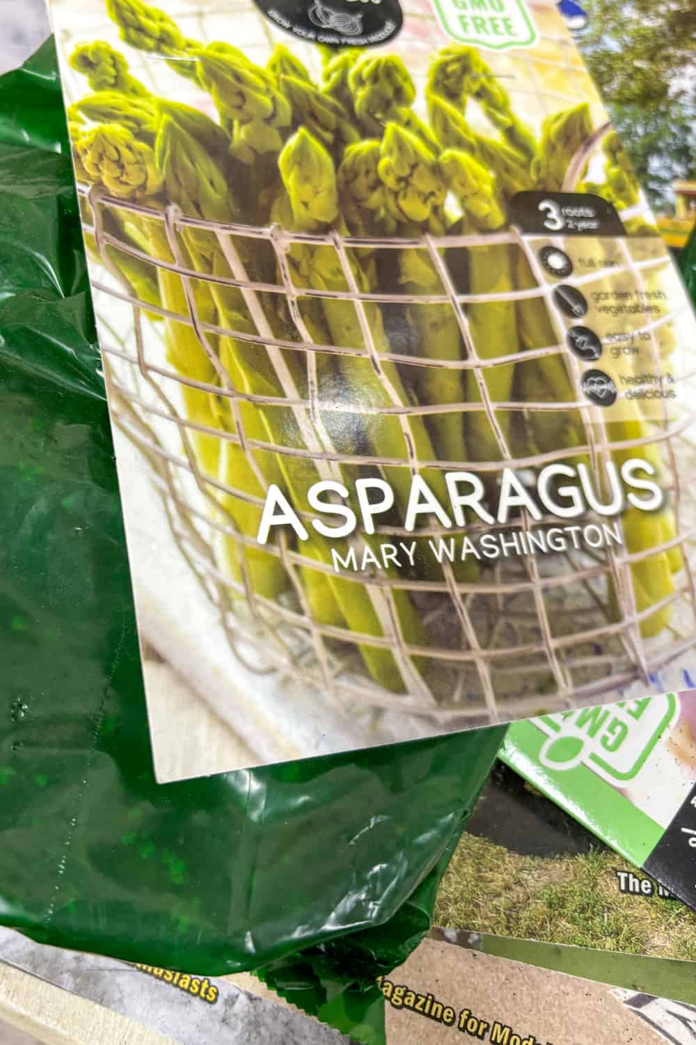 asparagus companion plants asparagus crown