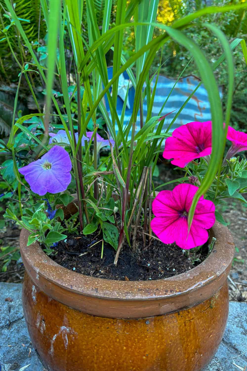 flower containers ideas planters on a budget
