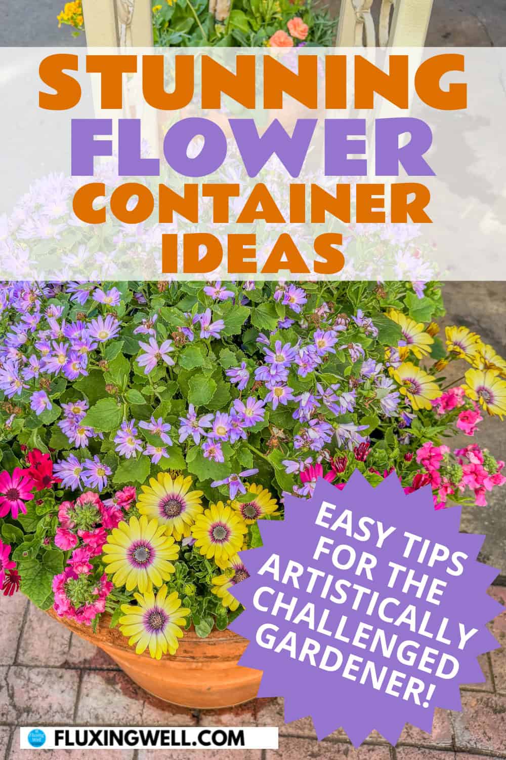 flower container ideas perennial daisies