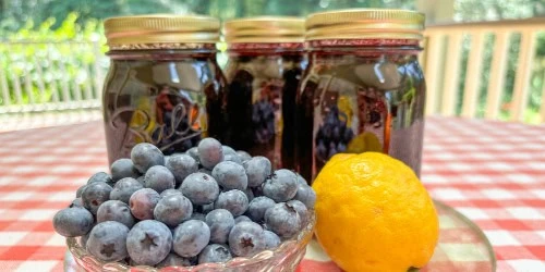 blueberry lemon jam on display