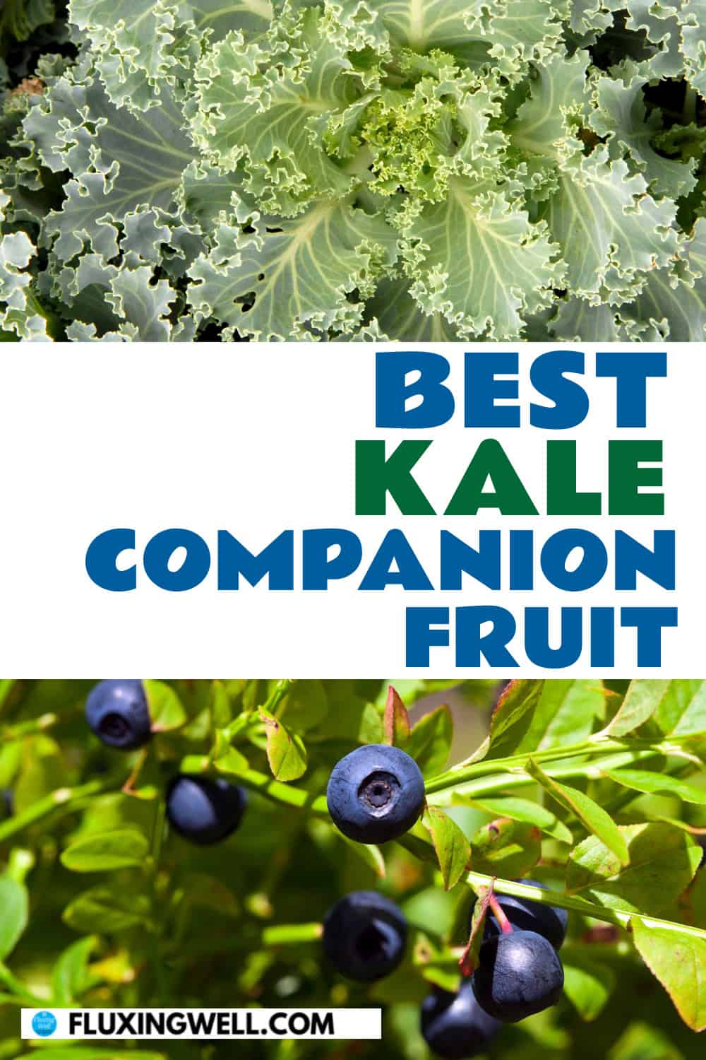 kale companion plants fruit