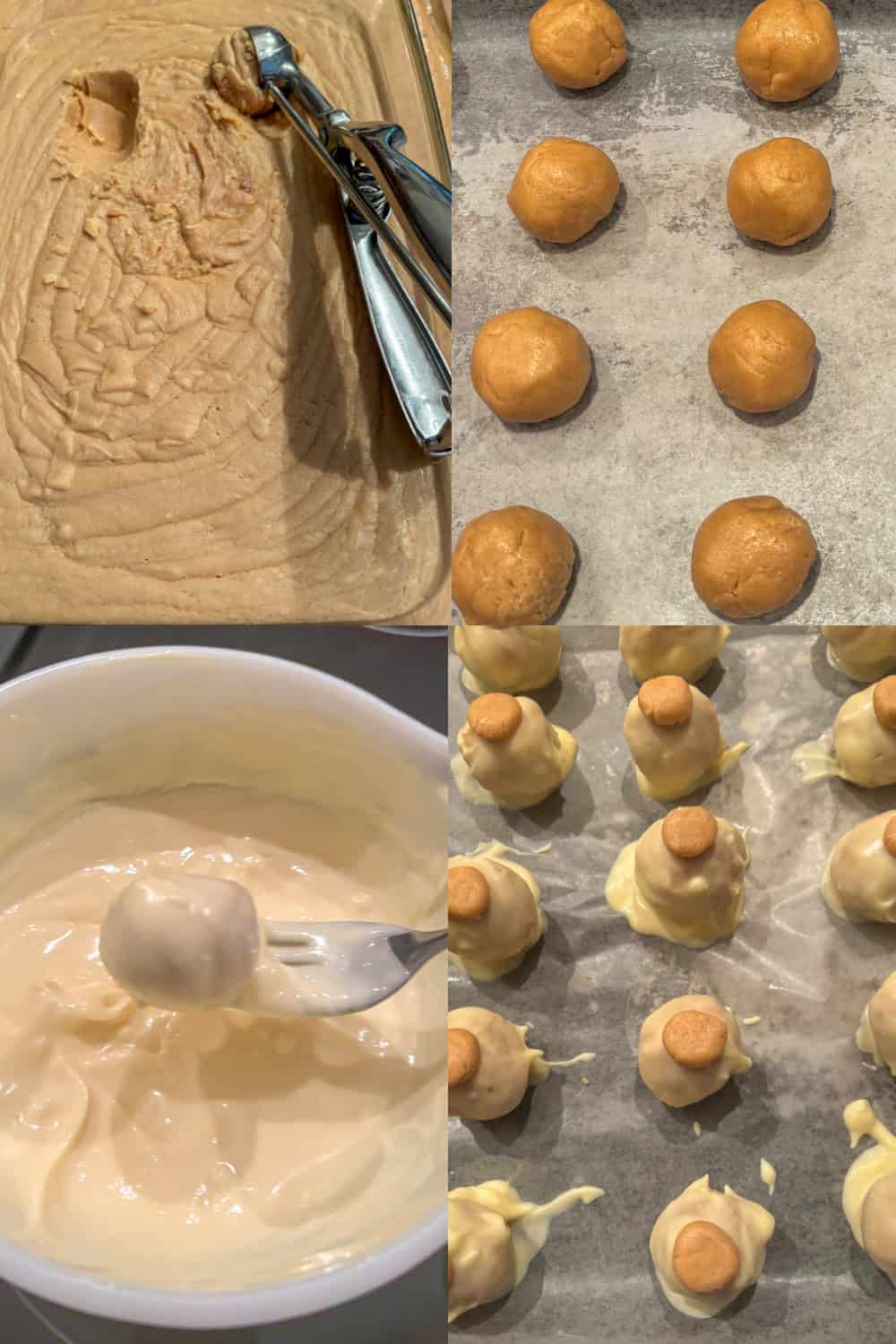 peanut butter truffles white chocolate buckeyes steps