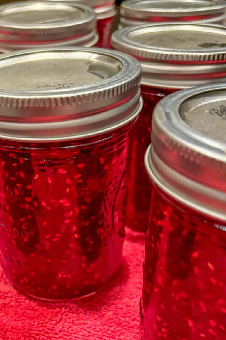 Raspberry Orange Jam - Fluxing Well