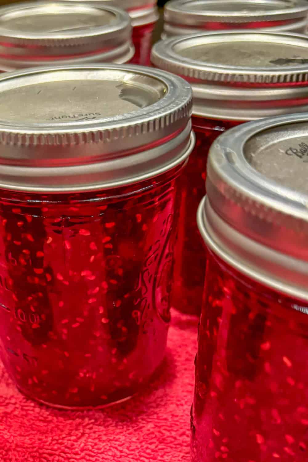 raspberry orange jam homemade christmas jam processed jars