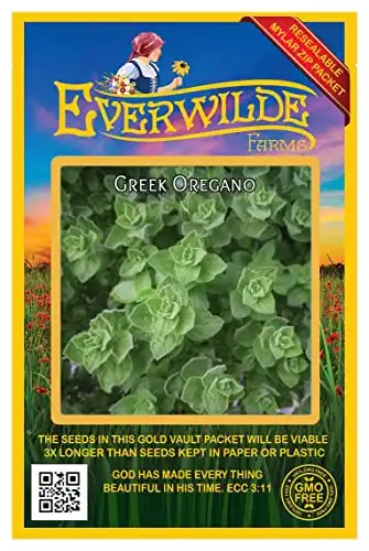 Everwilde Farms - 2000 Greek Oregano Herb Seeds - Gold Vault Jumbo Seed Packet