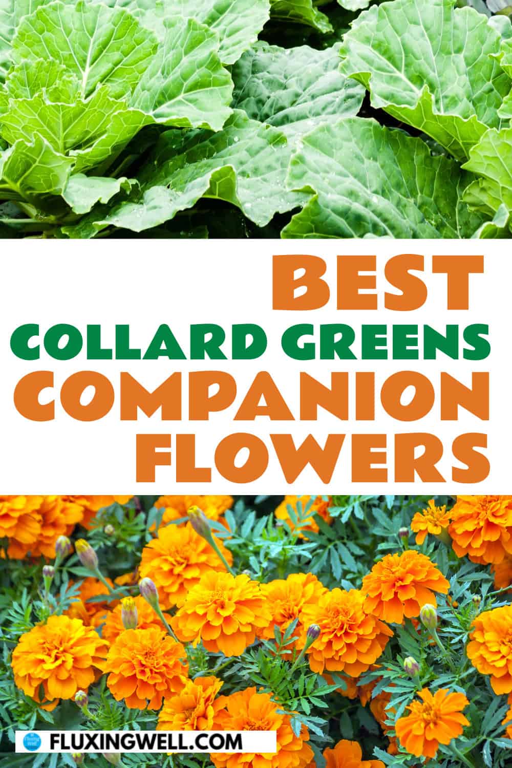 collard greens companion planting flowers