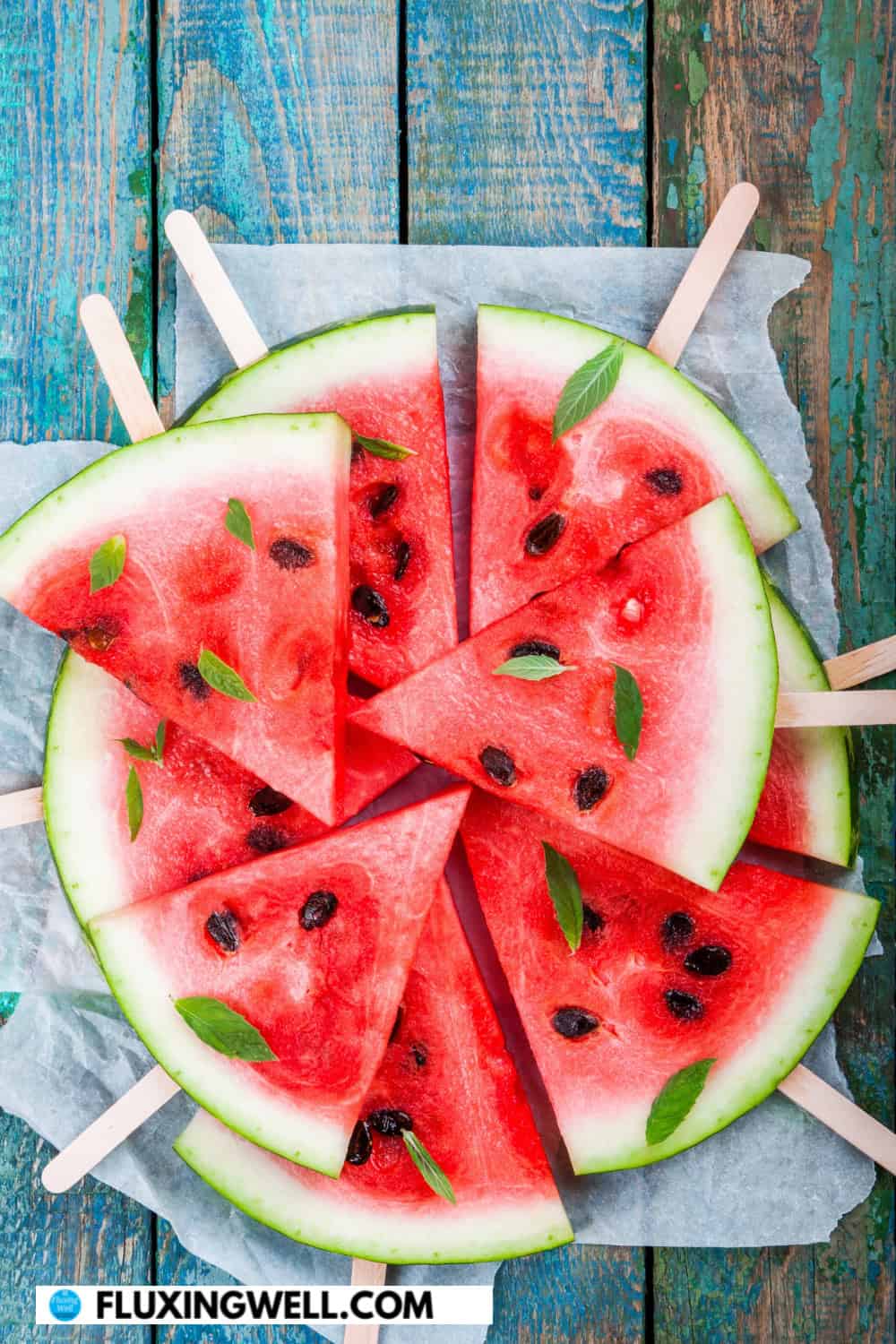 watermelon theme party watermelon on sticks