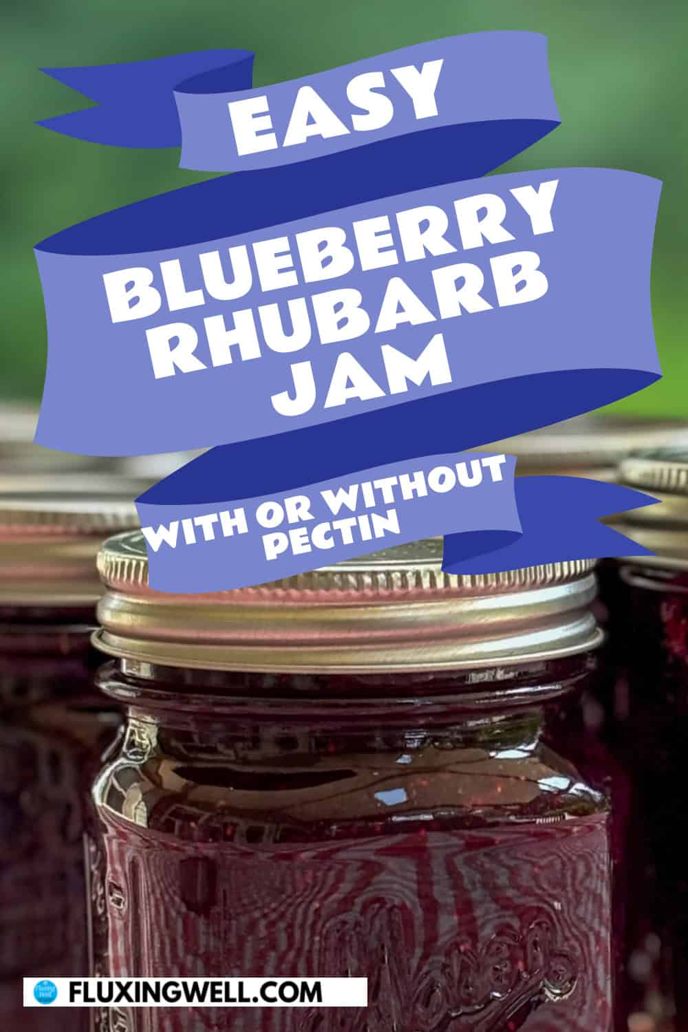 blueberry rhubarb jam finnished in jars