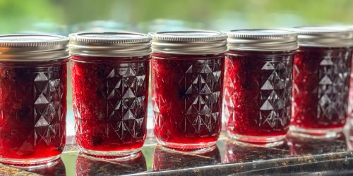 blueberry rhubarb jam on a windowsill