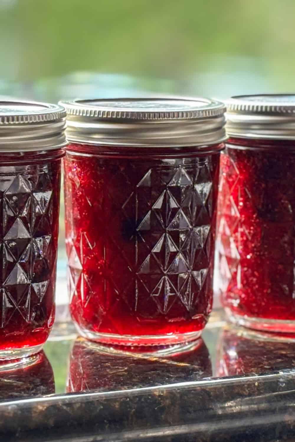 blueberry rhubarb jam finished and on a windowsill