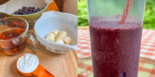 apple banana blueberry smoothie in a cup with ingredients