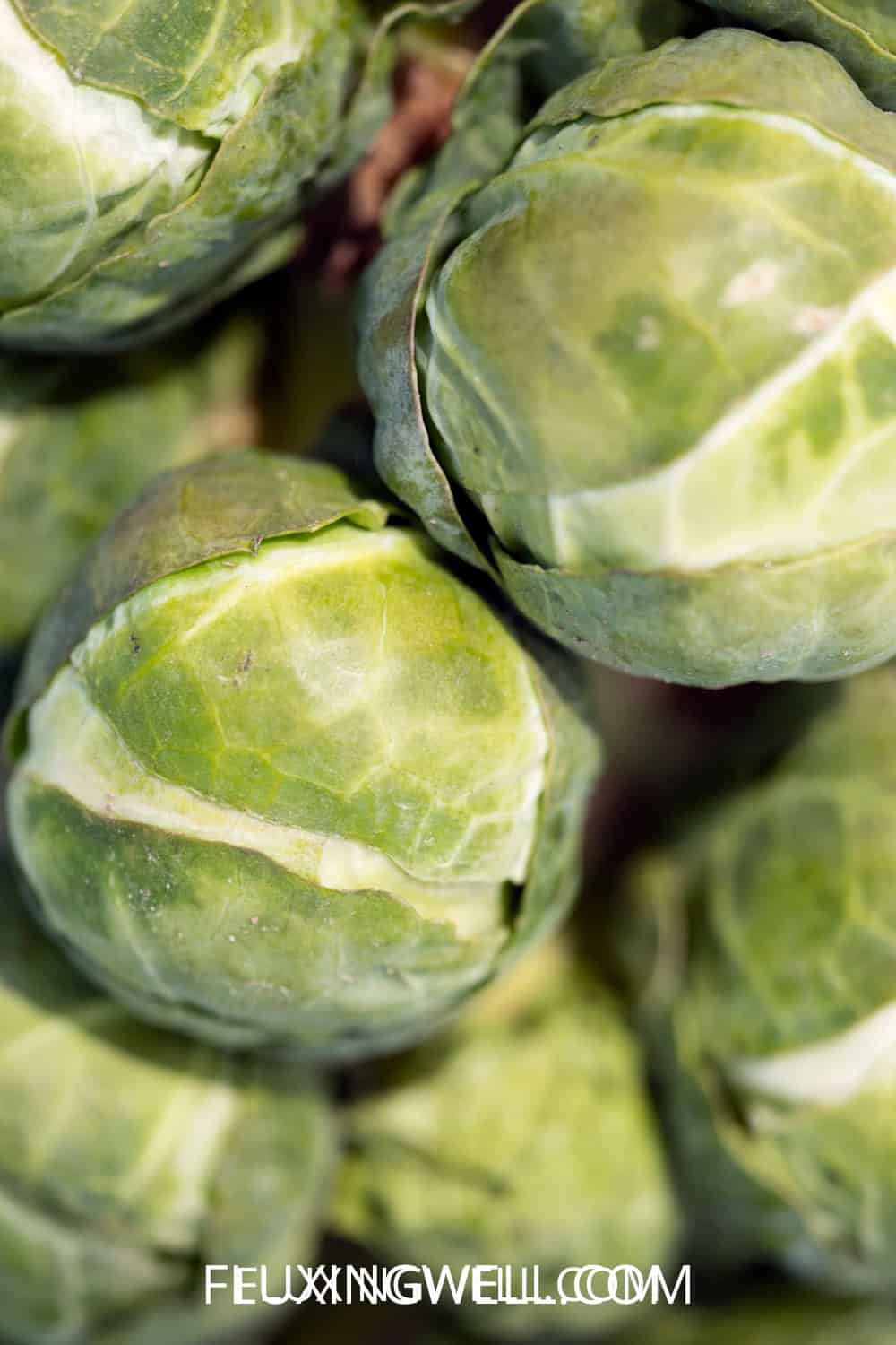 Brussels sprouts companion plants harvested Brussels sprouts
