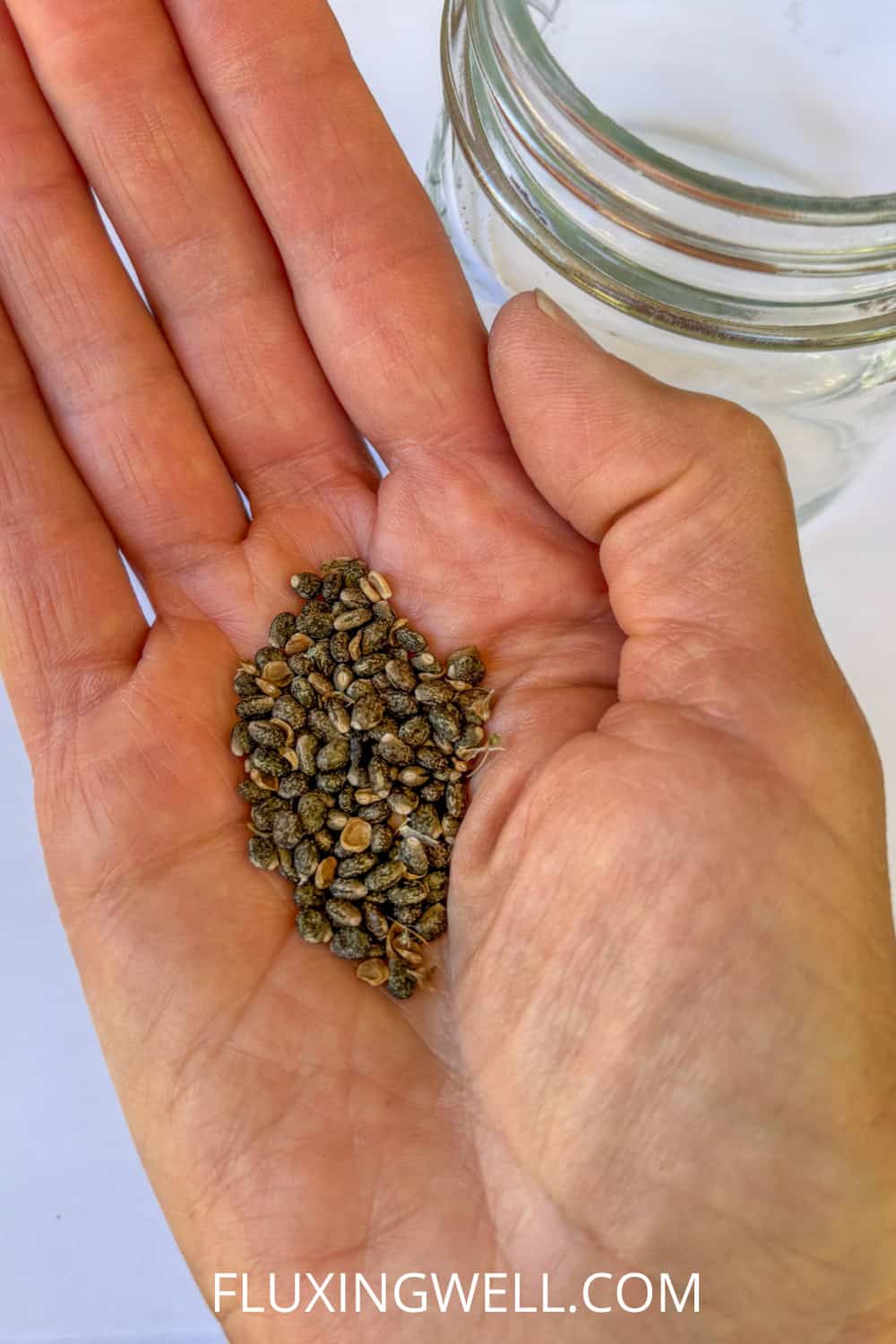 saving lupine seeds in a hand