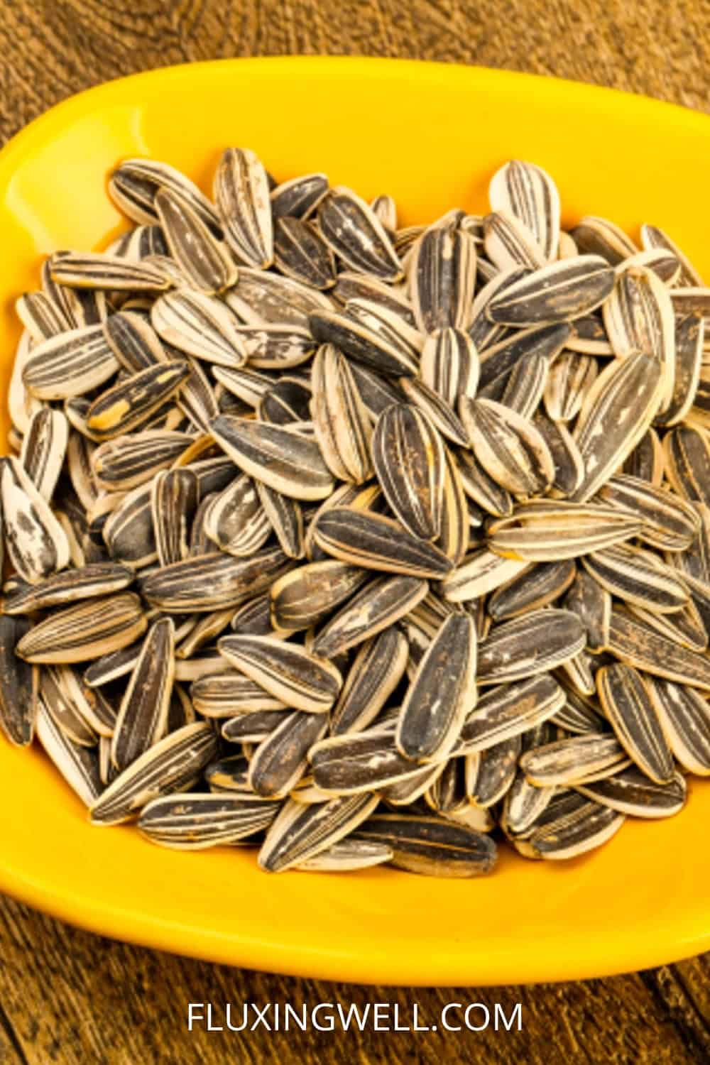 saving sunflower seeds sunflower seeds in a bowl
