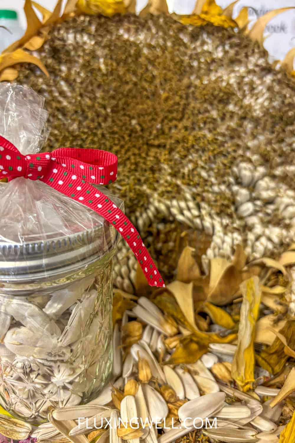 saving sunflower seeds jar and sunflower seeds