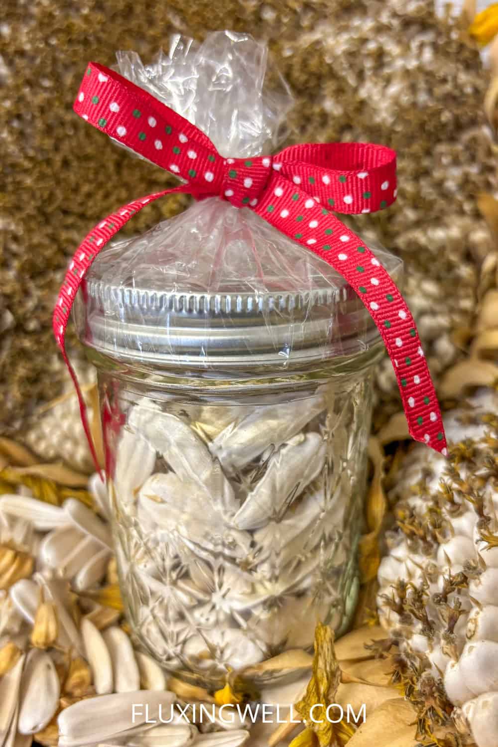 saving sunflower seeds sunflower seeds in a jar